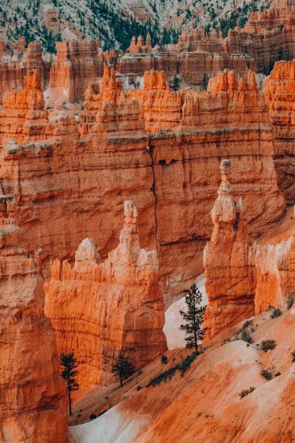 Wander Camp Bryce Canyon - Escalante Cannonville Eksteriør bilde